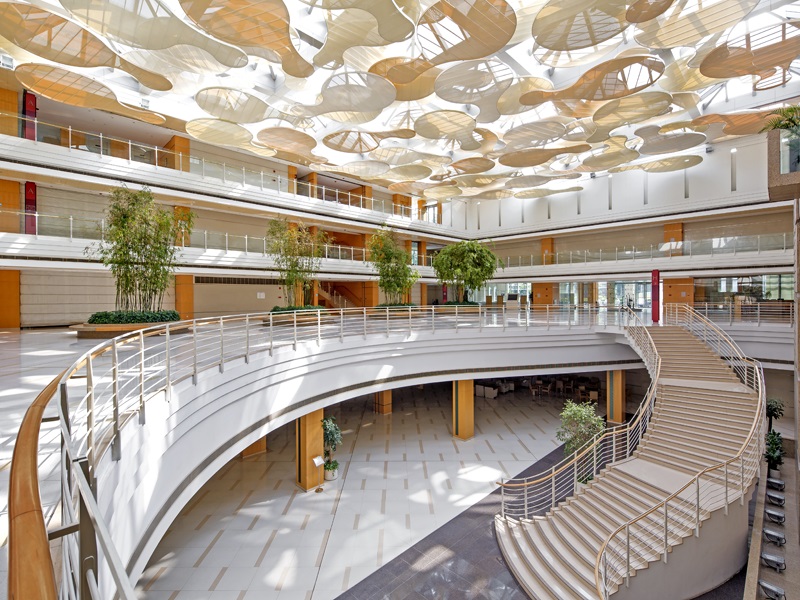 技术专题 国家ICT